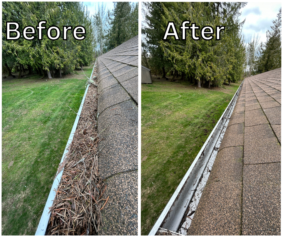 Gutter cleaning service