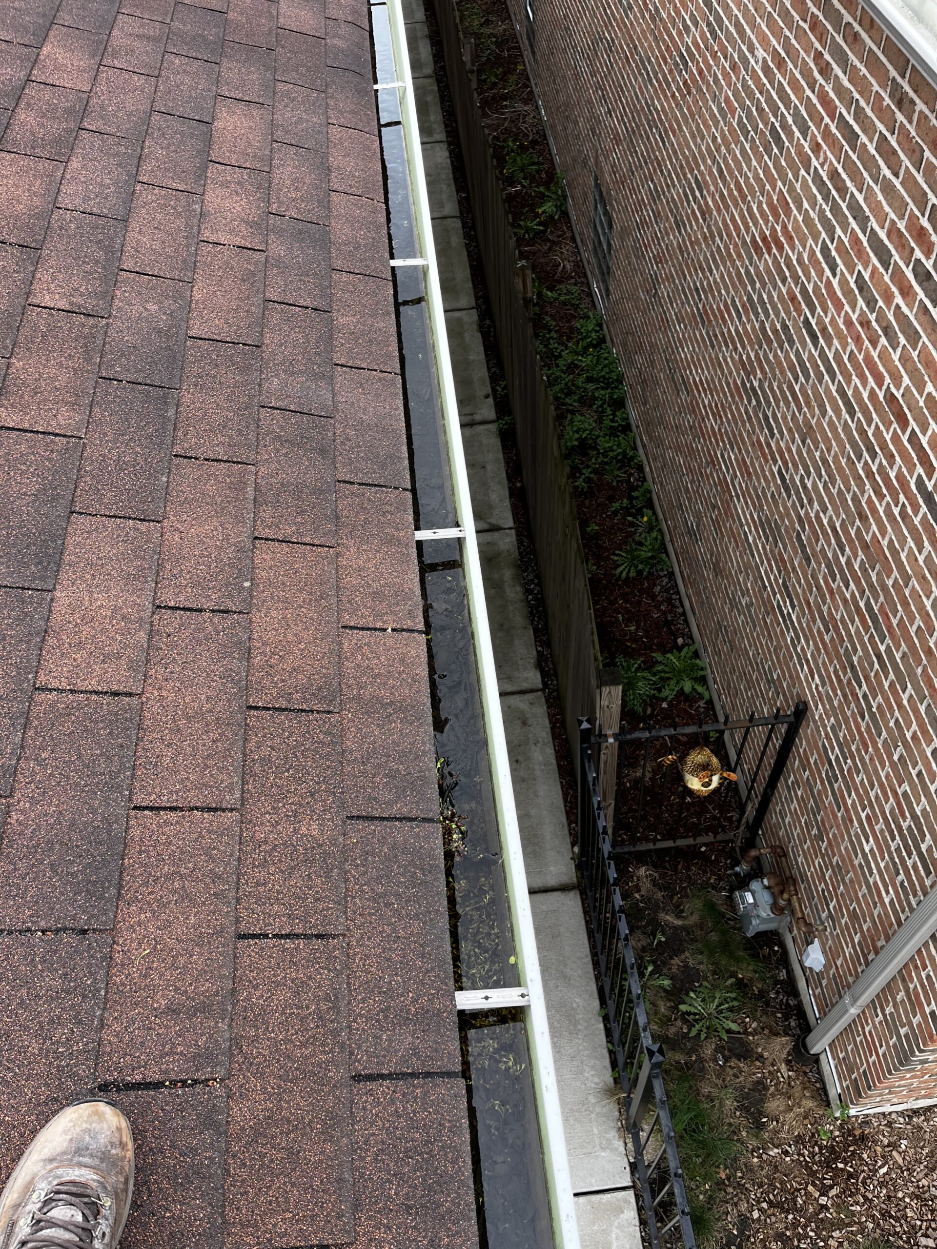 clogged gutters overflowing before gutter cleaning Chicago